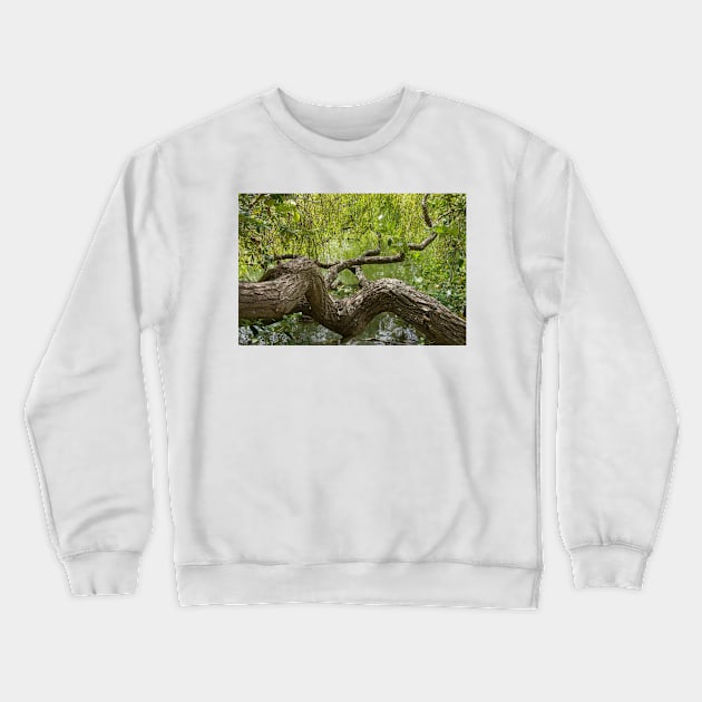 gnarled branches Crewneck Sweatshirt by sma1050